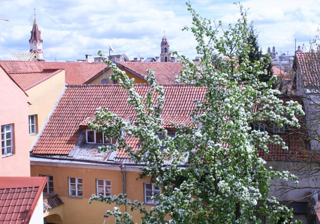 Old Town Apartment Antokolskio ヴィリニュス エクステリア 写真