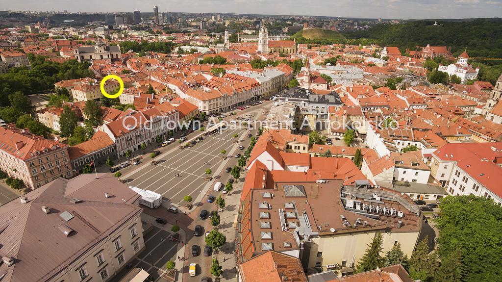 Old Town Apartment Antokolskio ヴィリニュス エクステリア 写真